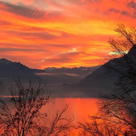 Casi - Partial View *