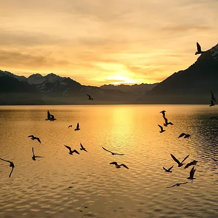 Casi - Partial View شقة