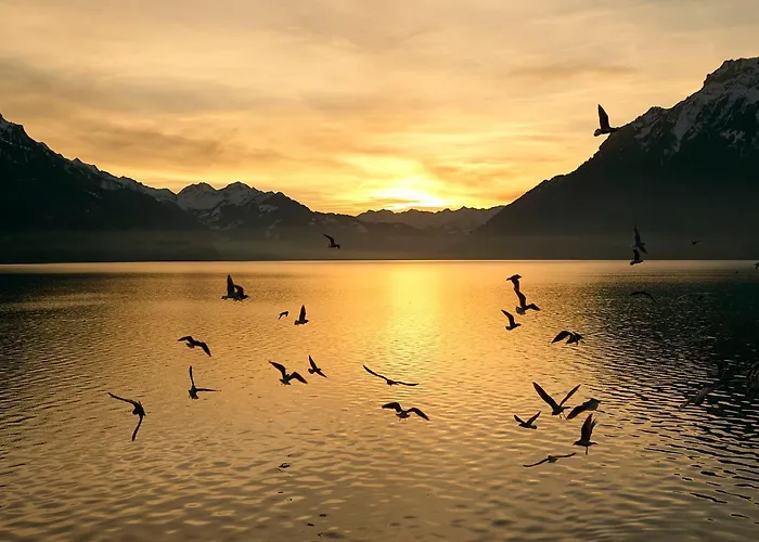 Casi - Partial View شقة