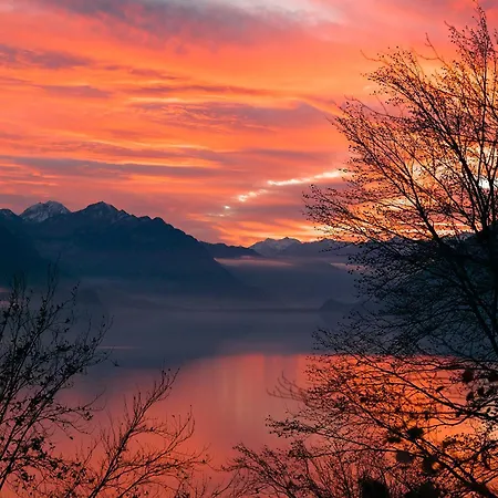 Apartman Casi - Partial View Brienz