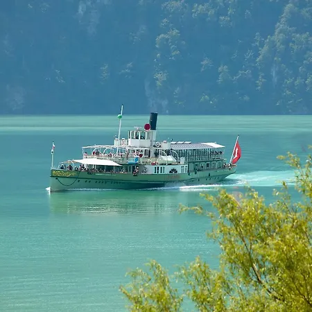 Casi - Partial View Brienz