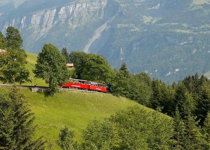 Casi - Partial View Apartment Brienz (Bern)
