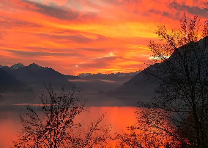 Casi - Partial View *